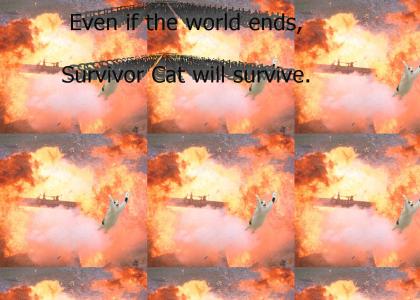 Survivor Cat