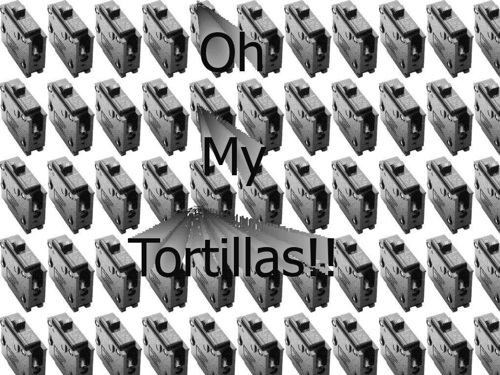 tortillashorse