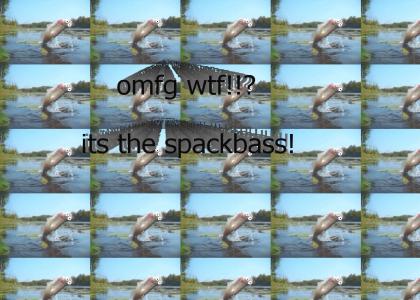 lol wtf its spackbass