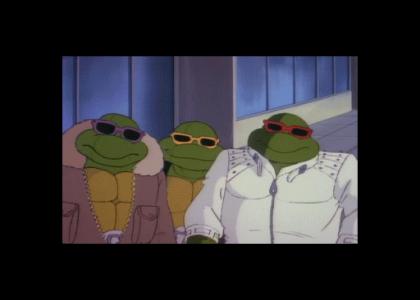 Turtles in the Hood