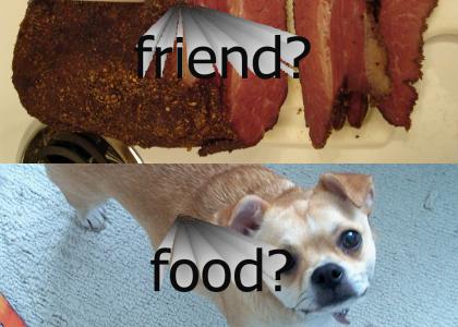 friend or food