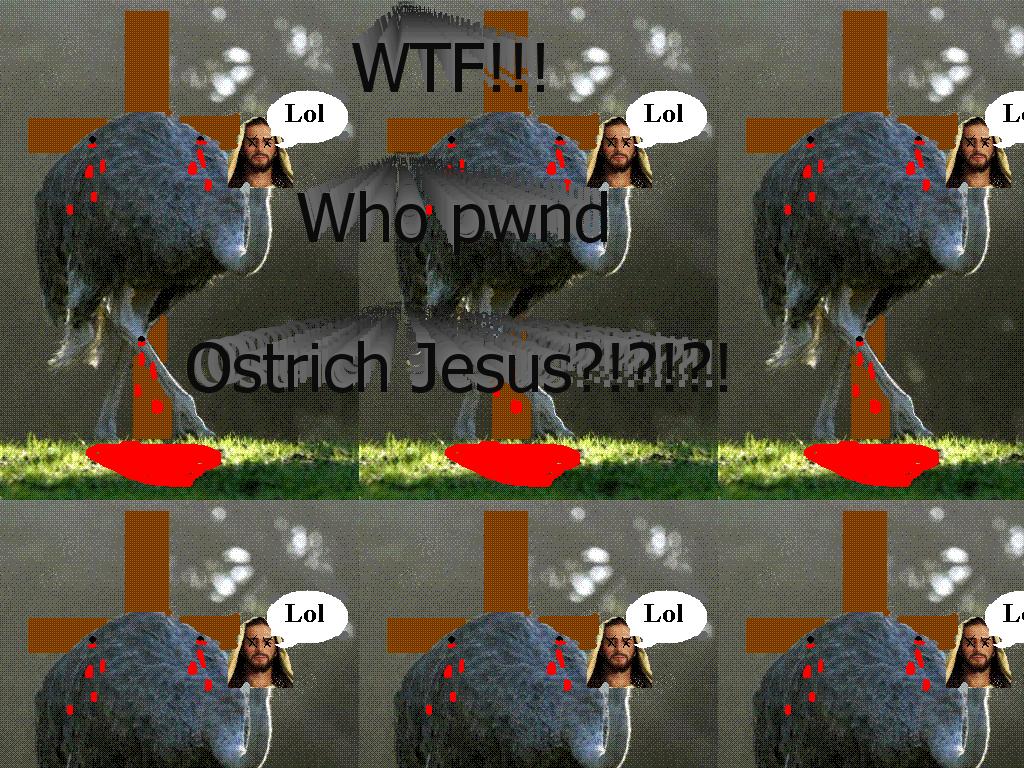 ostrichjesus