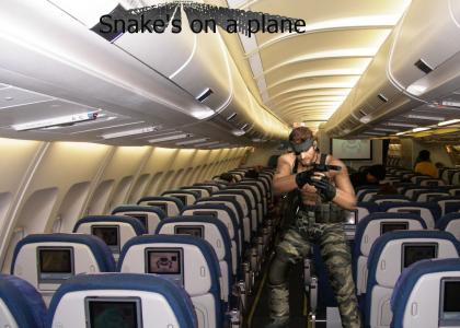 Snake's on a plane!