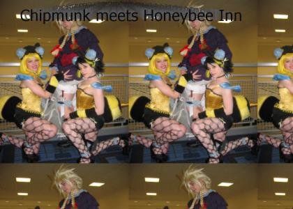 Welcome To Honeybee Inn