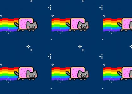 Pop Tart / Nyan Cat