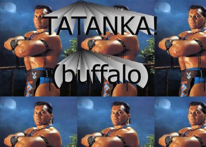 TATANKA! (buffalo)