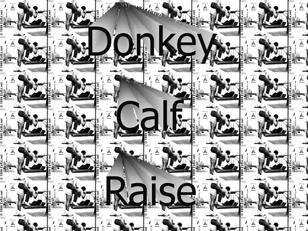 DonkeyCalf