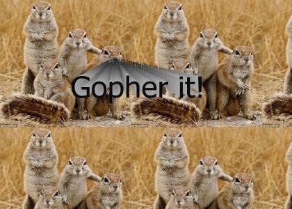 Gopher it!