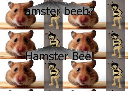 Hamster Bee!