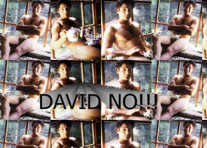 David Duchovny is a Perv!
