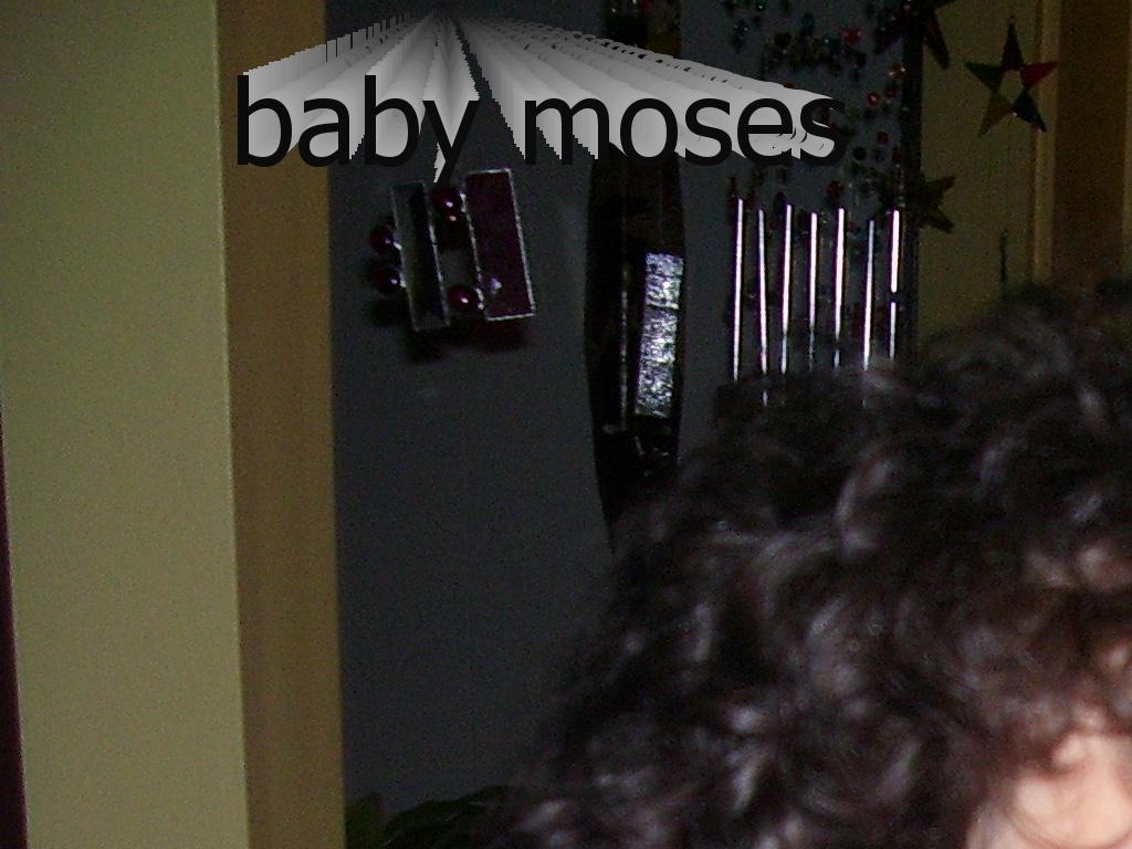 babymosesbabymoses