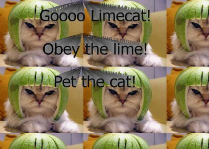 Super Limecat!