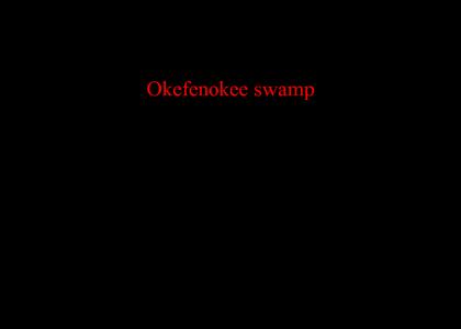 What is Okefenokee swamp?