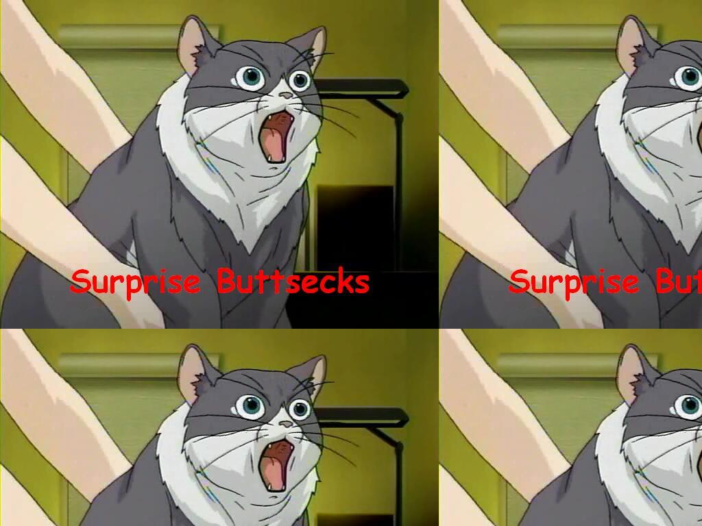 supbuttsechs