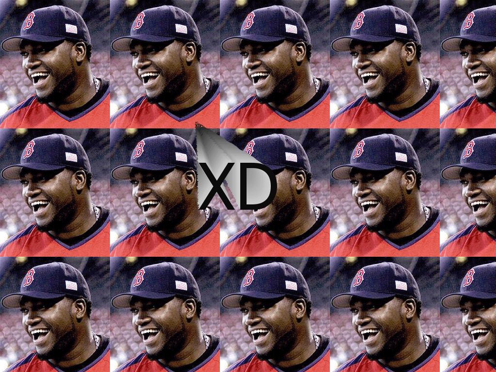 davidortiz