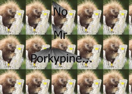Oh Nozzzz Its Mr Porcupine