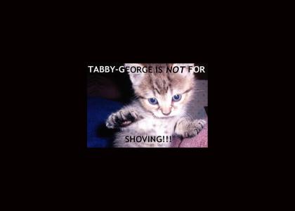 Tabby-George