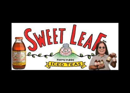 Ozzy Loves Sweet Leaf Tea