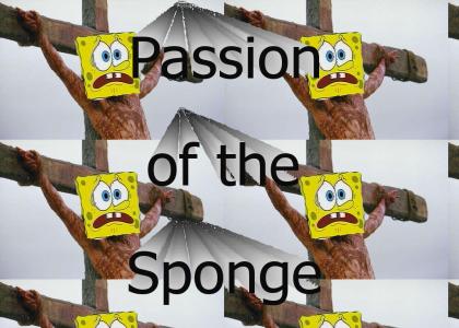 Passion of the Sponge