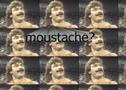 THE Moustache