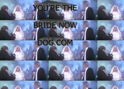 You're the bride now, dog!