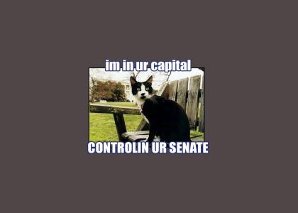 DEMOCATZ PWNAGE UR SENATE