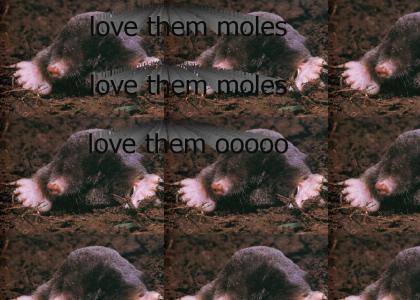 Gotta love them Moles