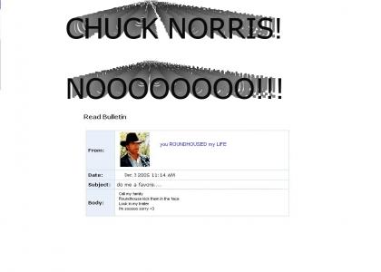 chucknorrisNO