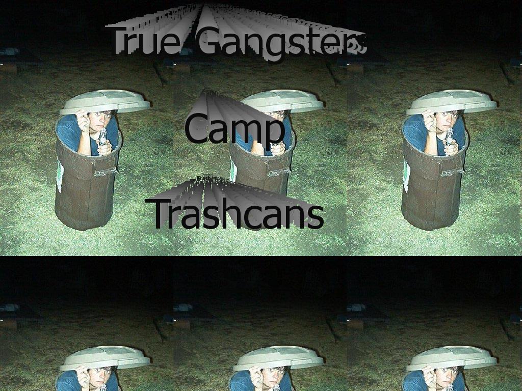 Trashcancamper