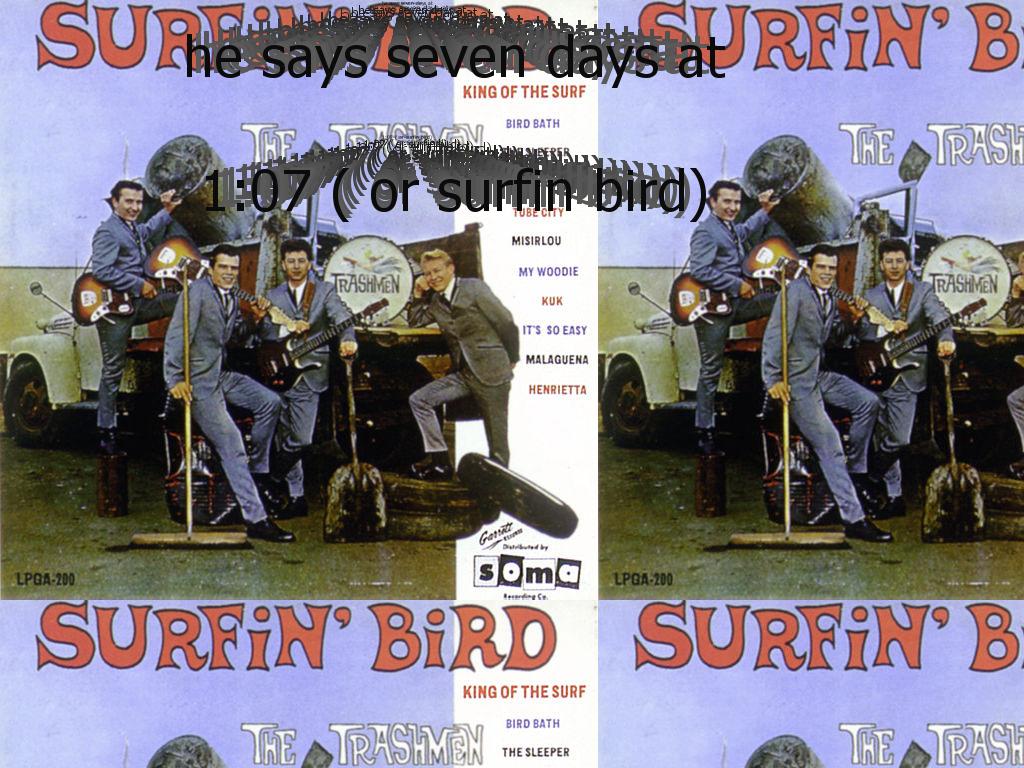 surfinbird22