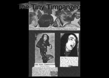 The Timpanzee's Ancestor