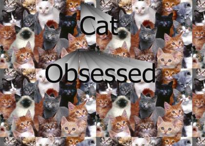 Cat Obsessed