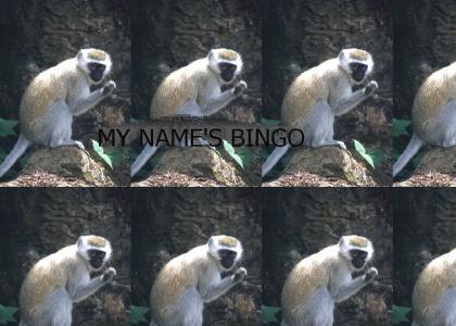MY NAME'S BINGO