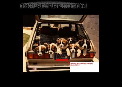 Puppies on 8 secret code!!!!
