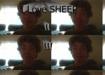 Nathan loves sheep!