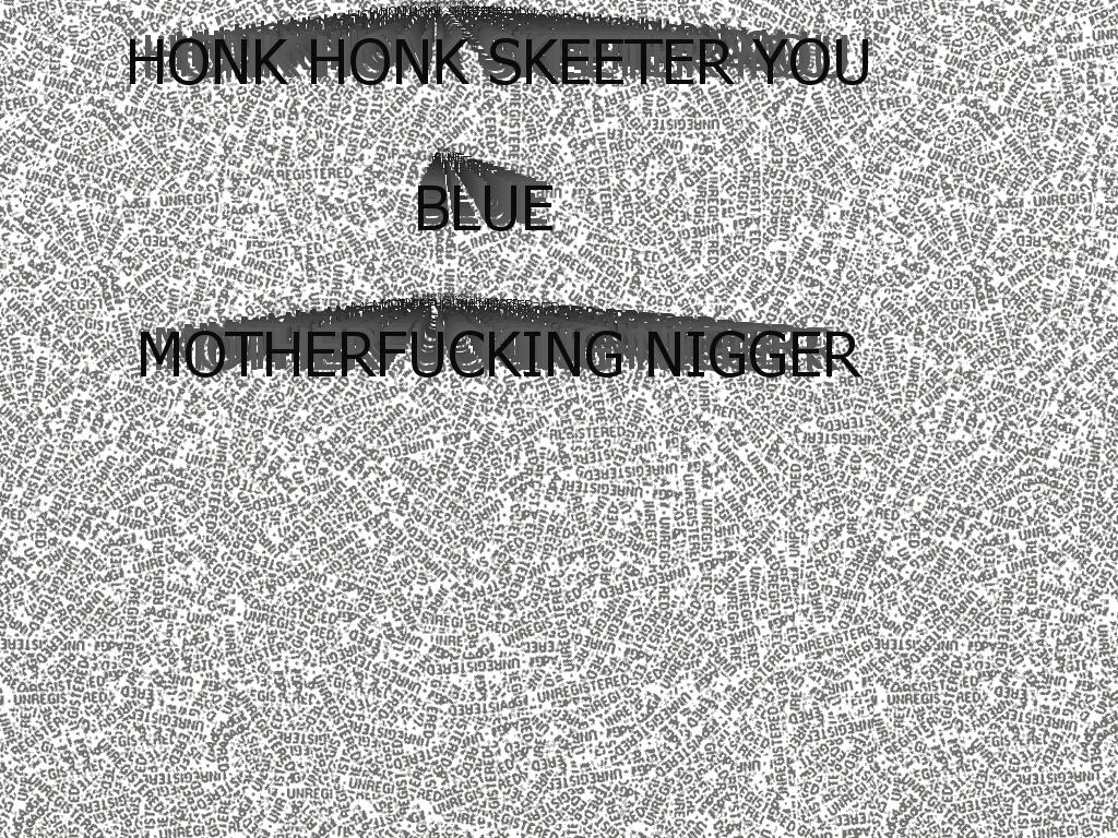 honkhonkskeeteryoubluemotherfuckingnigger