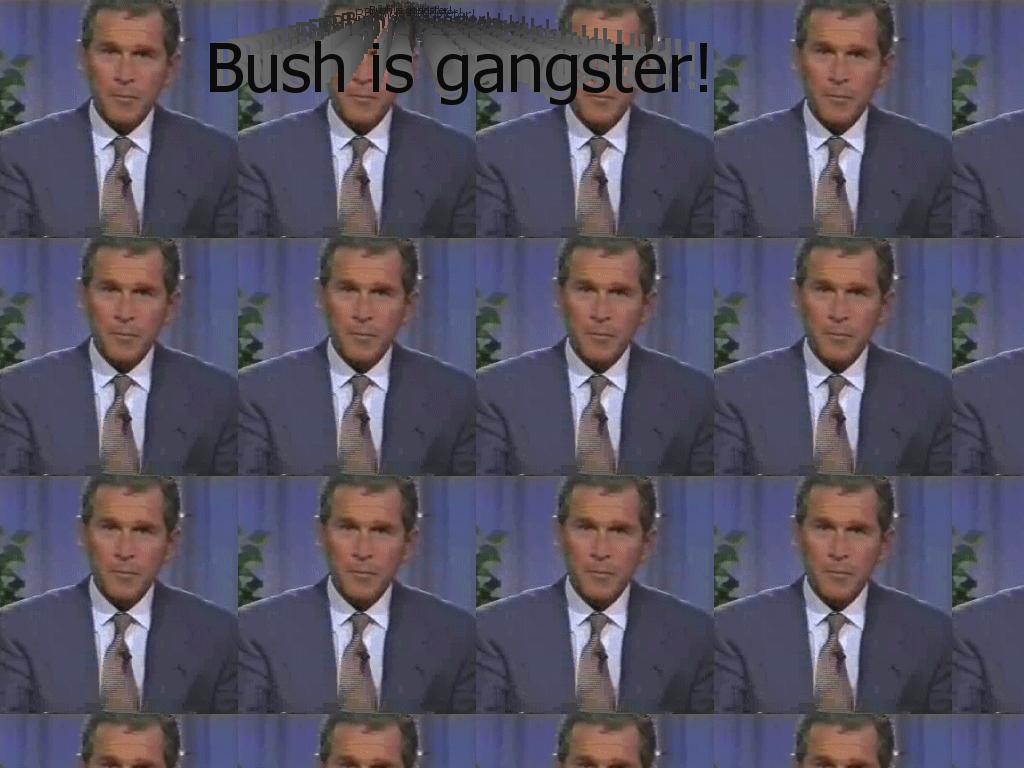 gangsterbush