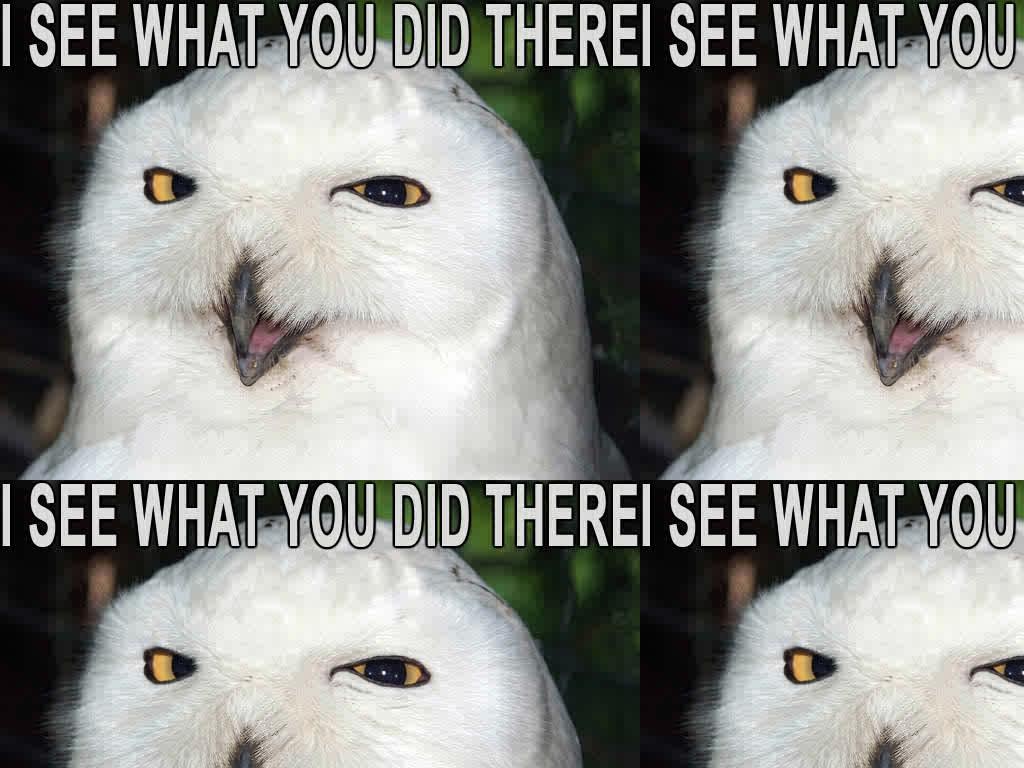 owllol