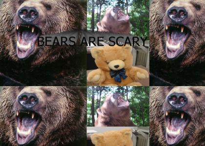 BEARS ARE SCARY