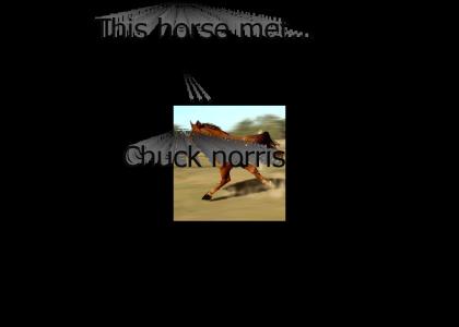 HORSEHORSEHORSEHORSEHORSE