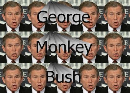 Bush Monkey