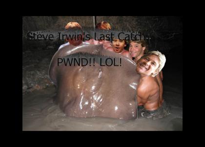 Steve Irwin's Last Catch