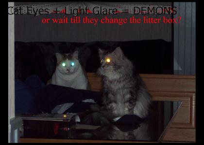 Demonic Kitties