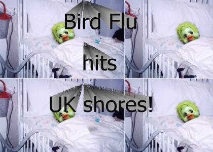 birdflu in uk