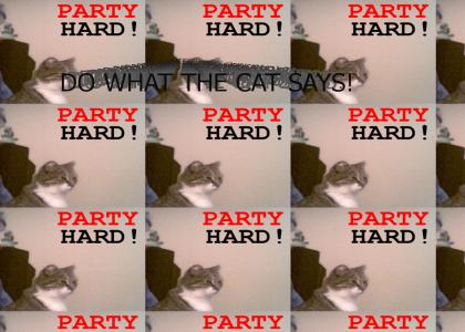 PARTY HARD!