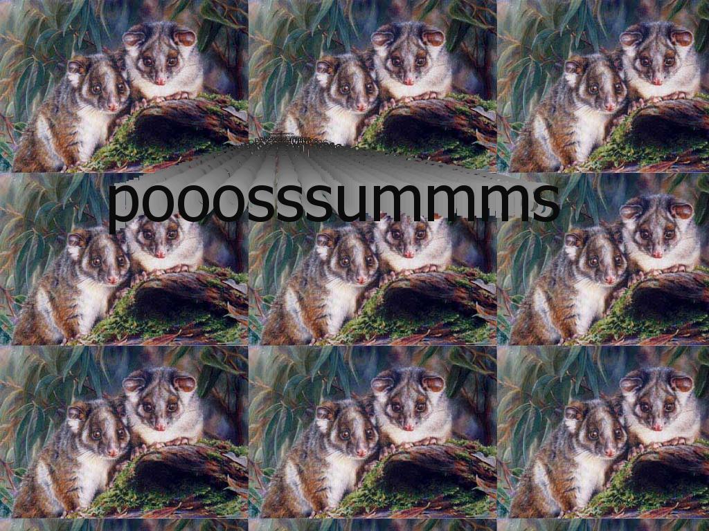 possums