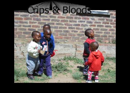 Crips & Bloods