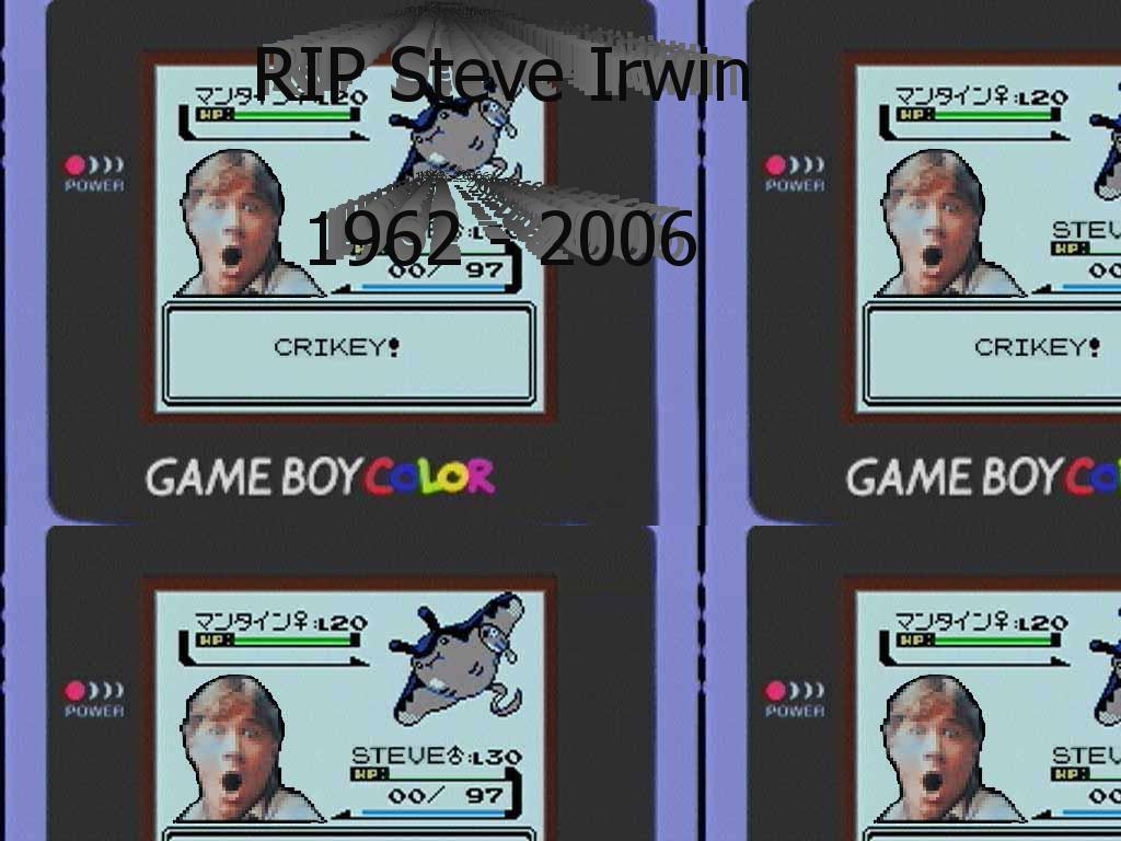 steveirwinbonjovi