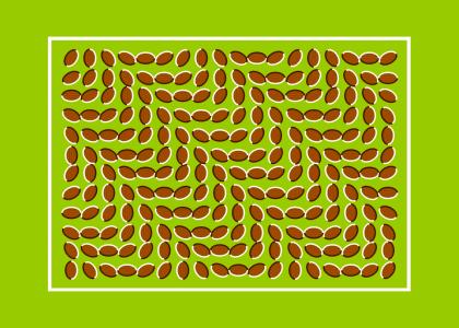 CRAZY ILLUSION *TRIPPY*