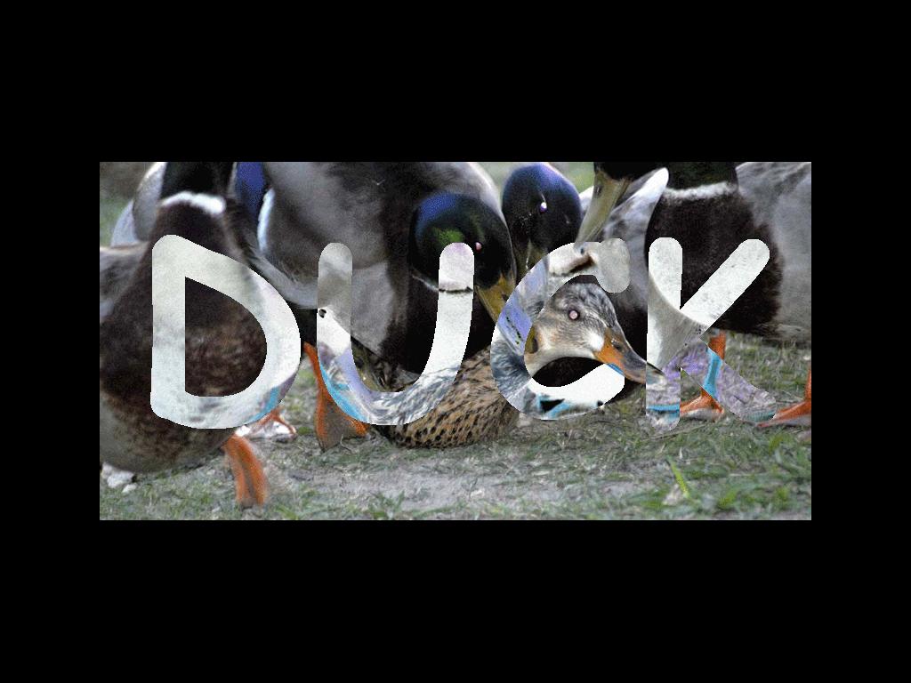 duckrape